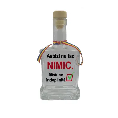 Astazi nu fac nimic, sticla cu mesaj plata, 250 ml, model divgs179 29